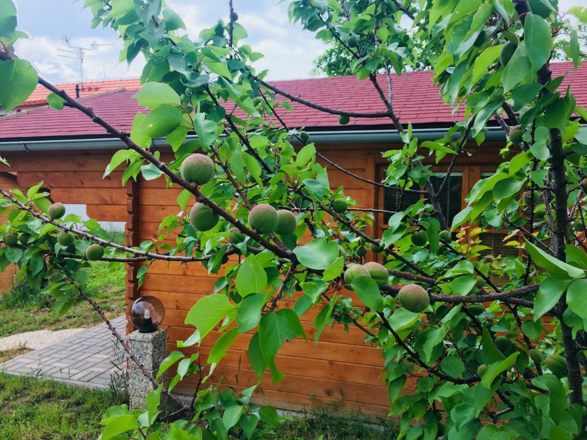 Ubytovani U Lisaka Foxe Villa Bulhary Eksteriør bilde